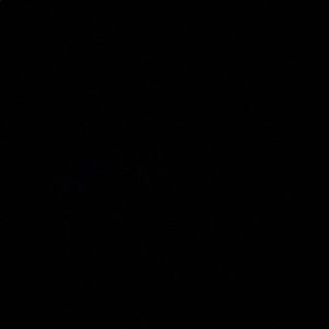 Meet your Posher, Will